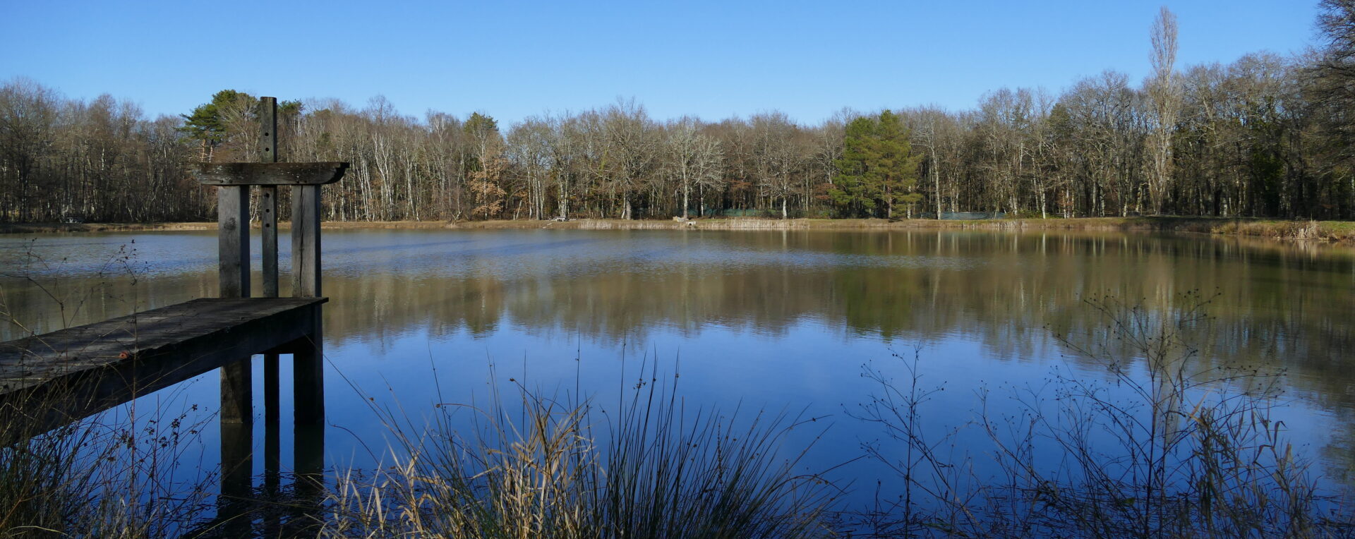 Etang MenestreauenVillette